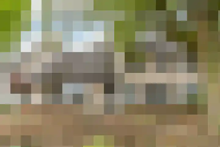 Albert Schweitzerlaan 6 Oosterhout thumbnail 63