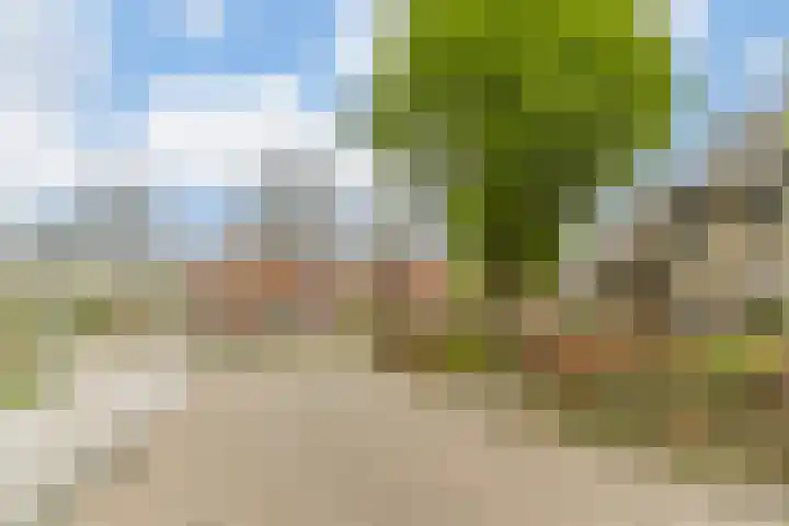 Albert Schweitzerlaan 6 Oosterhout thumbnail 65