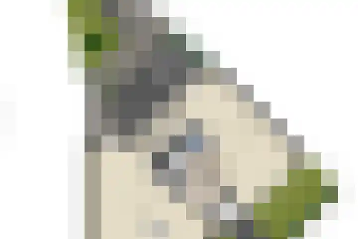 Albert Schweitzerlaan 6 Oosterhout thumbnail 67