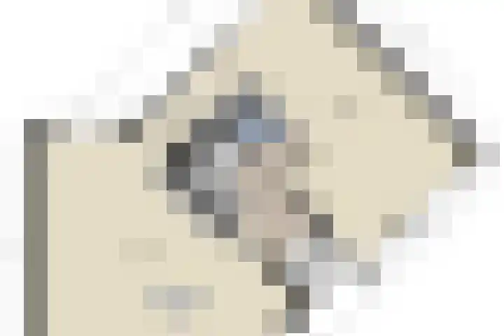 Albert Schweitzerlaan 6 Oosterhout thumbnail 68