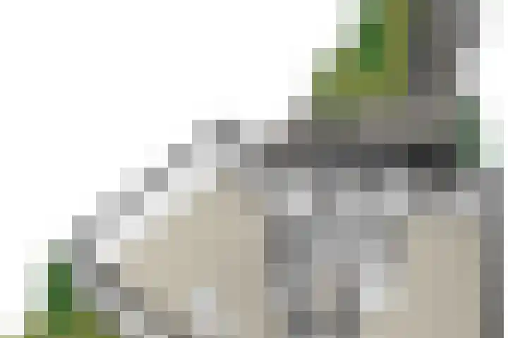 Albert Schweitzerlaan 6 Oosterhout thumbnail 72