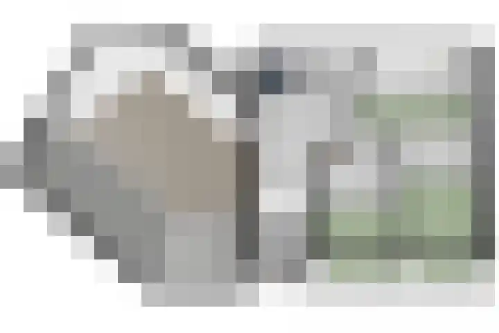 Albert Schweitzerlaan 6 Oosterhout thumbnail 74