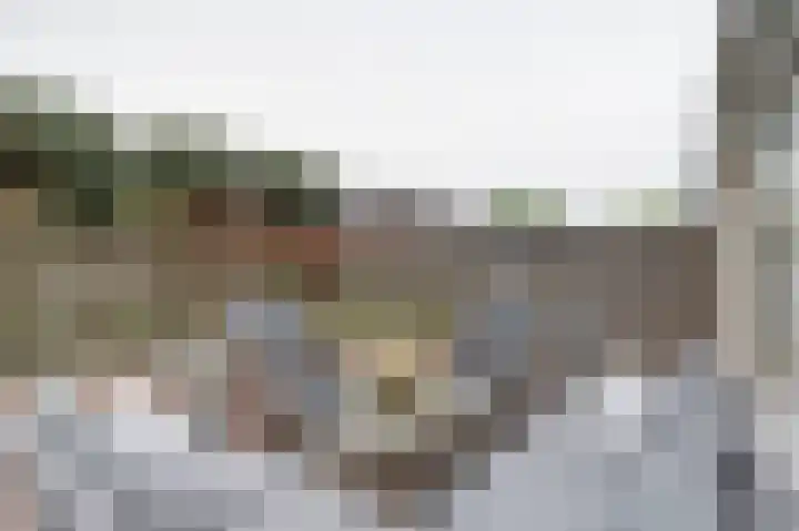 Albert Schweitzerlaan 7 's-Gravenzande thumbnail 33