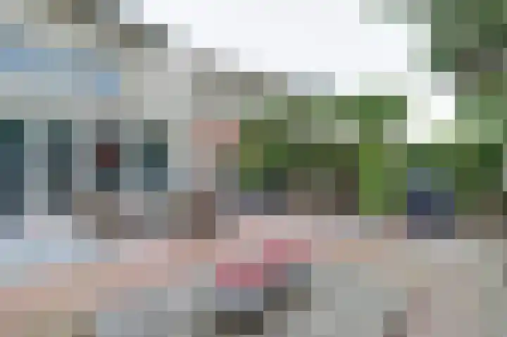 Albert Schweitzerlaan 7 's-Gravenzande thumbnail 34