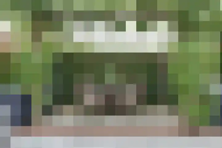 Albert Schweitzerlaan 7 's-Gravenzande thumbnail 35