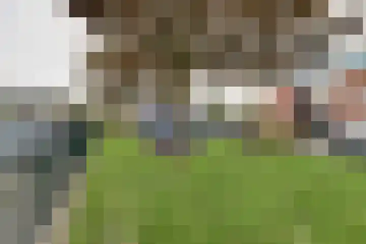 Albert Schweitzerlaan 7 's-Gravenzande thumbnail 38
