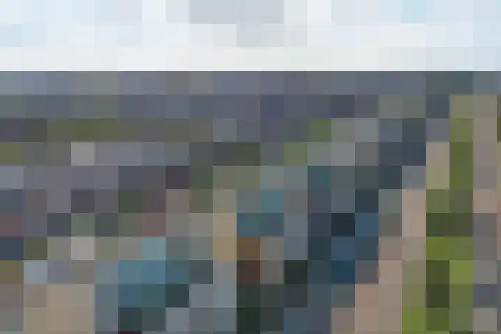 Albert Schweitzerlaan 7 's-Gravenzande thumbnail 42