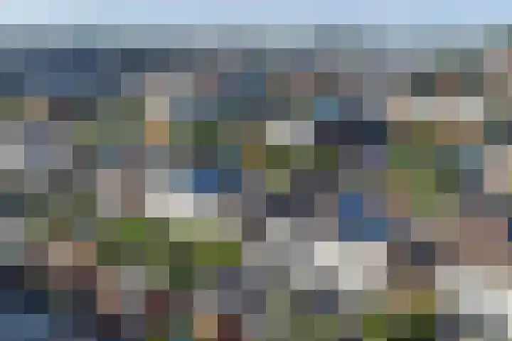 Albert Schweitzerlaan 7 's-Gravenzande thumbnail 43