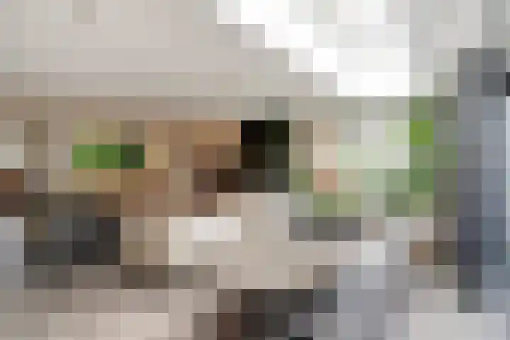 Albert Schweitzerlaan 7 's-Gravenzande thumbnail 7