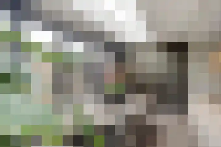 Albert Schweitzerlaan 7 's-Gravenzande thumbnail 8