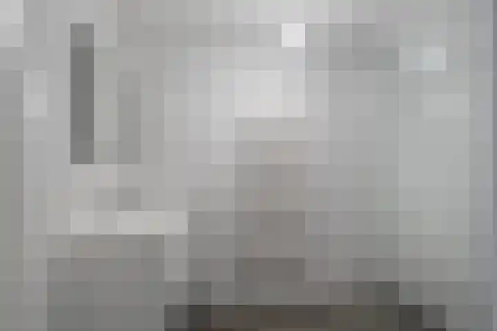 Albert Schweitzerplaats 108 Rotterdam thumbnail 9