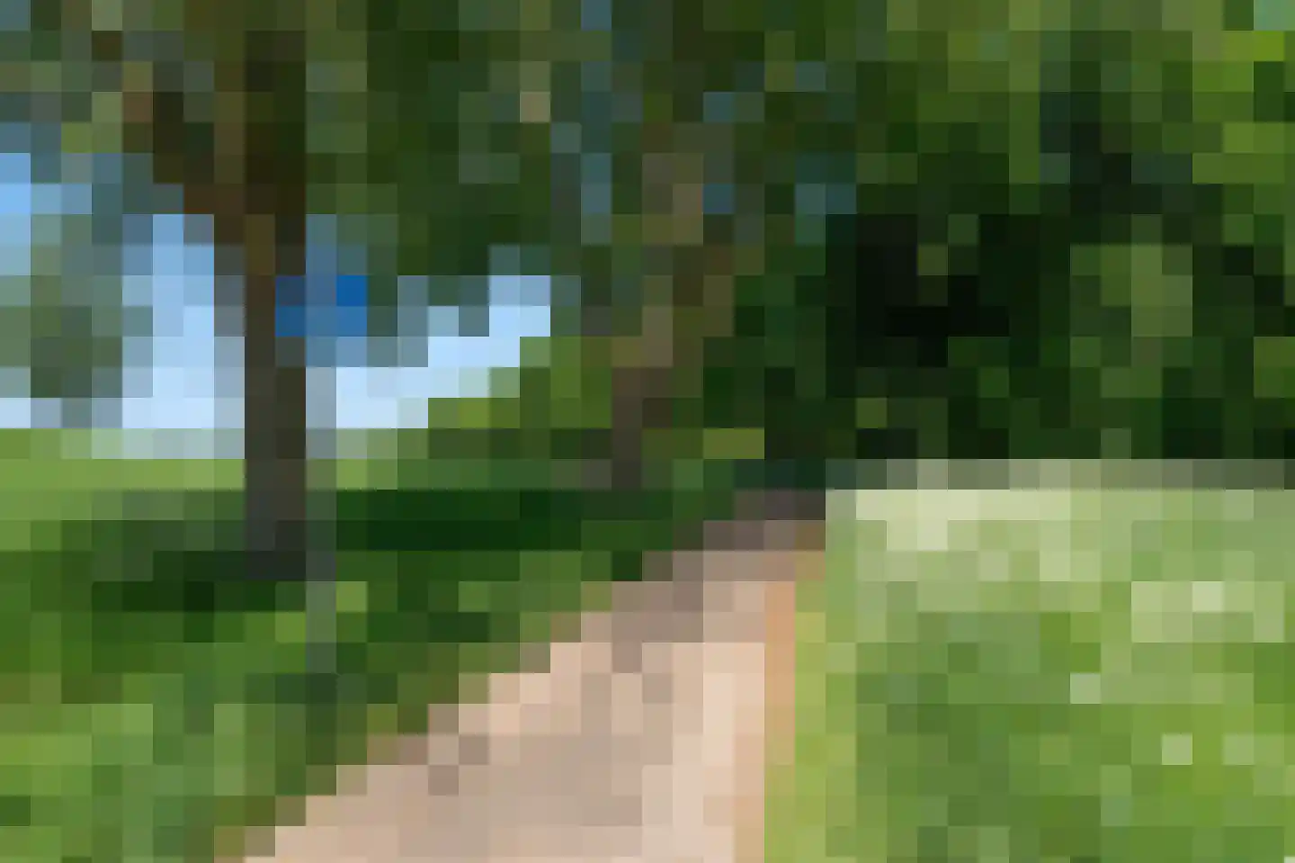 Albert Schweitzerplaats 132 Rotterdam thumbnail 15