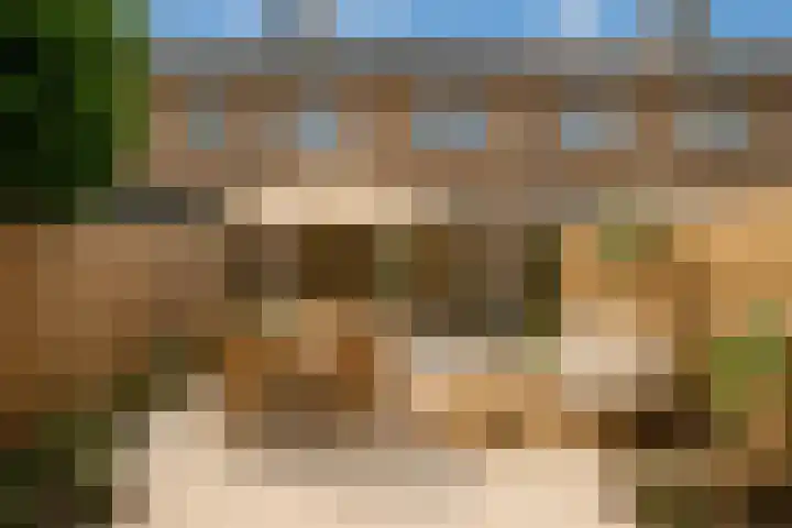 Albert Schweitzerplaats 164 Rotterdam thumbnail 30