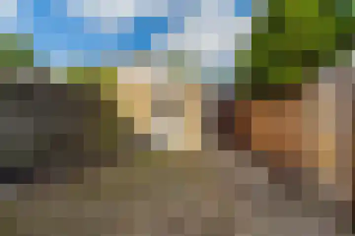 Albert Schweitzerplaats 164 Rotterdam thumbnail 32