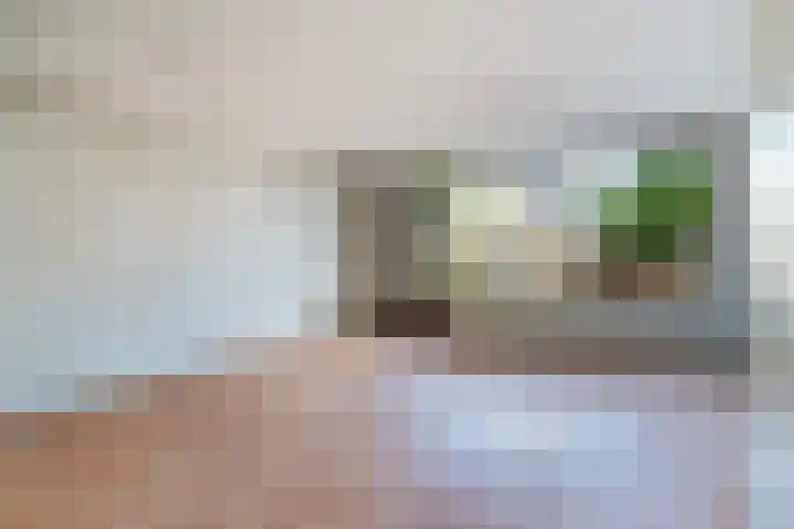 Albert Schweitzerplaats 164 Rotterdam thumbnail 7