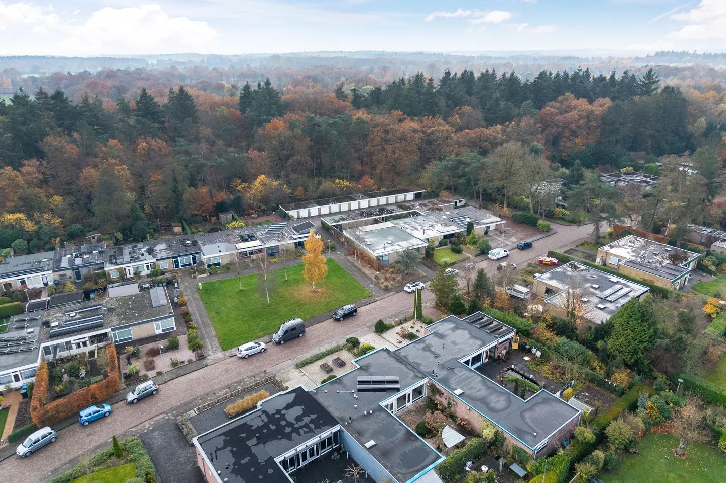 Albert Schweitzerplantsoen 11 Roden foto 3