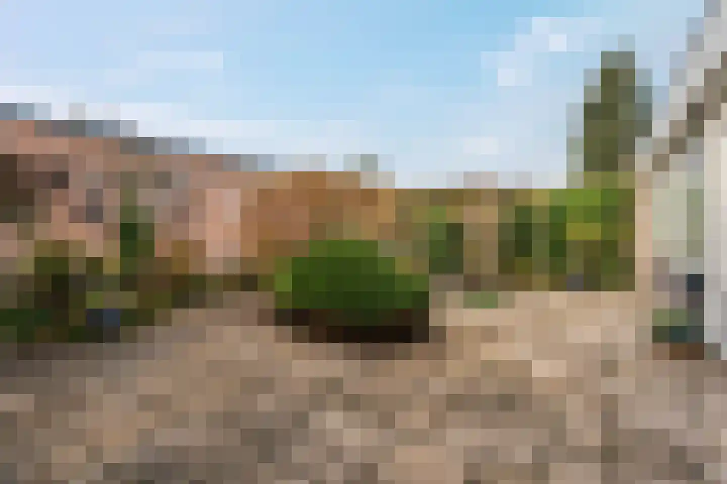 Albert Schweitzerplantsoen 11 Roden thumbnail 38