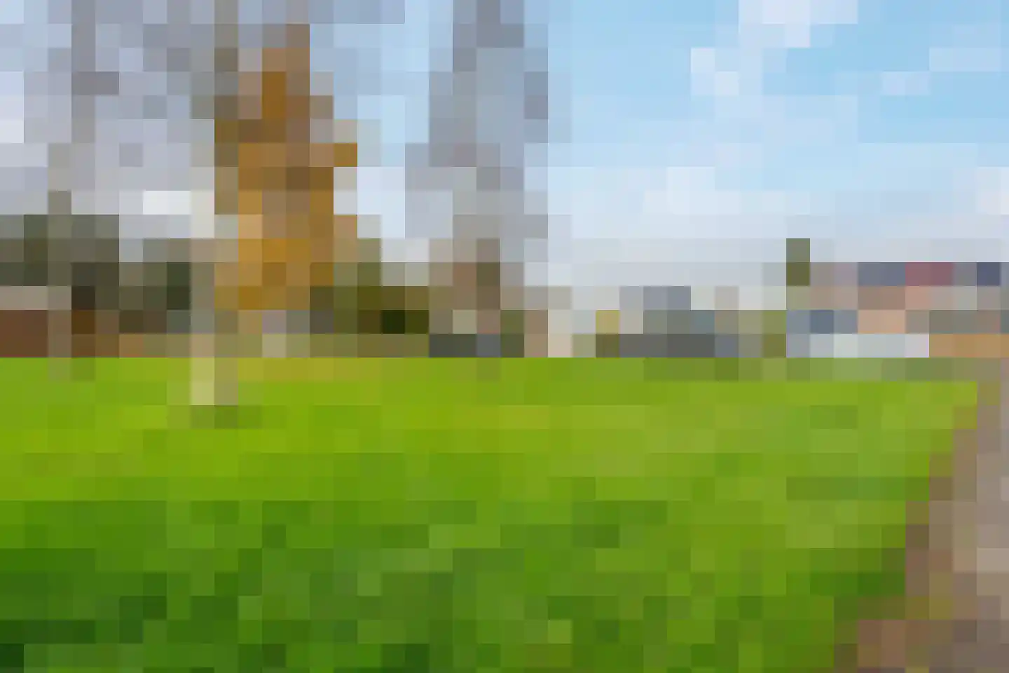 Albert Schweitzerplantsoen 11 Roden thumbnail 4