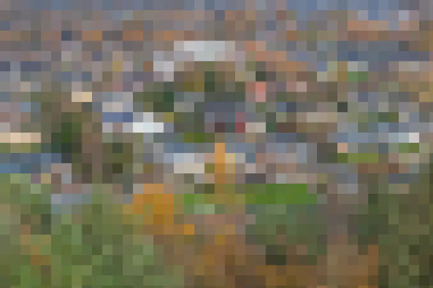 Albert Schweitzerplantsoen 11 Roden thumbnail 44