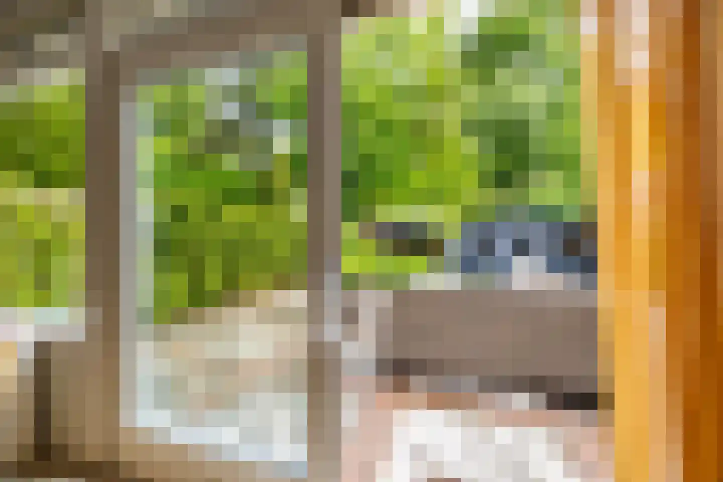 Albert Schweitzerplantsoen 28 Roden thumbnail 26