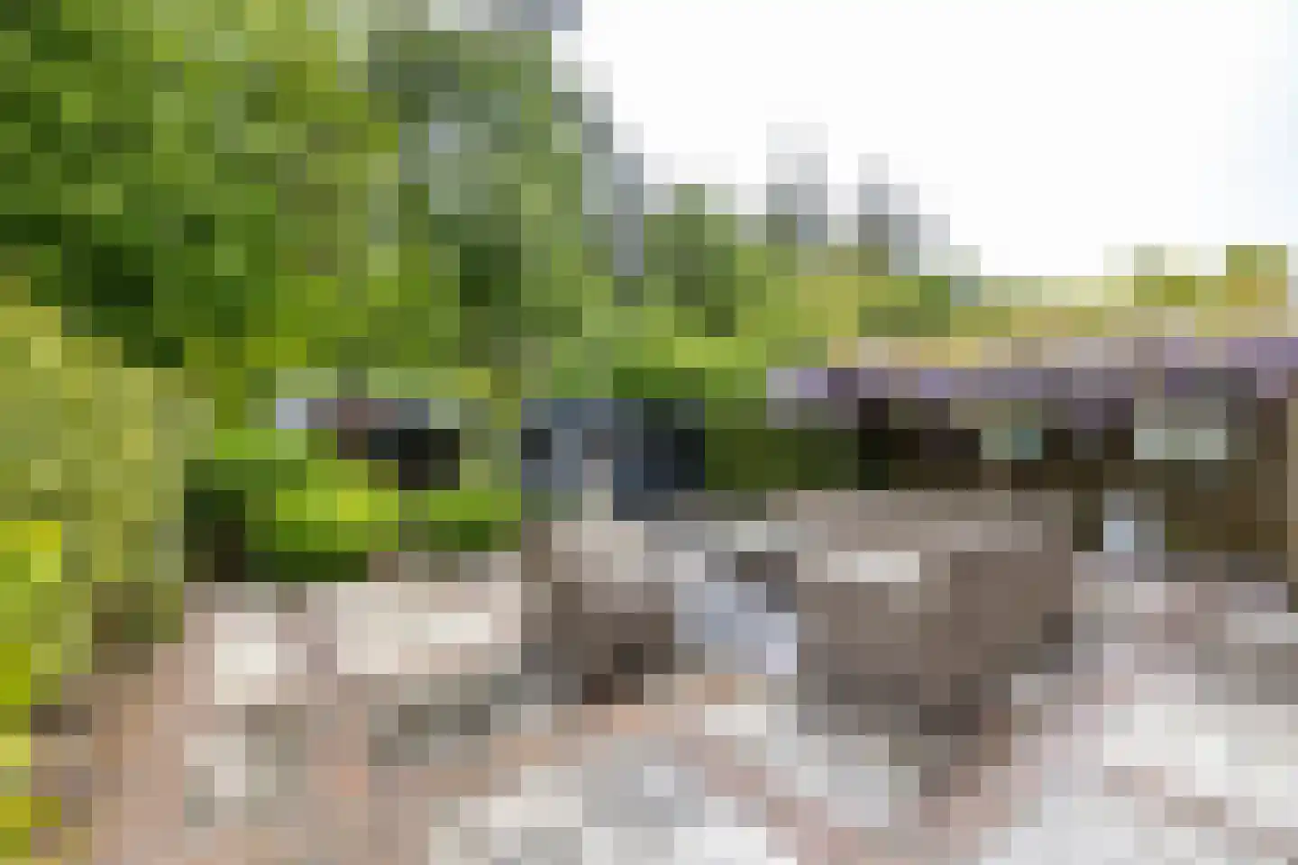 Albert Schweitzerplantsoen 28 Roden thumbnail 28