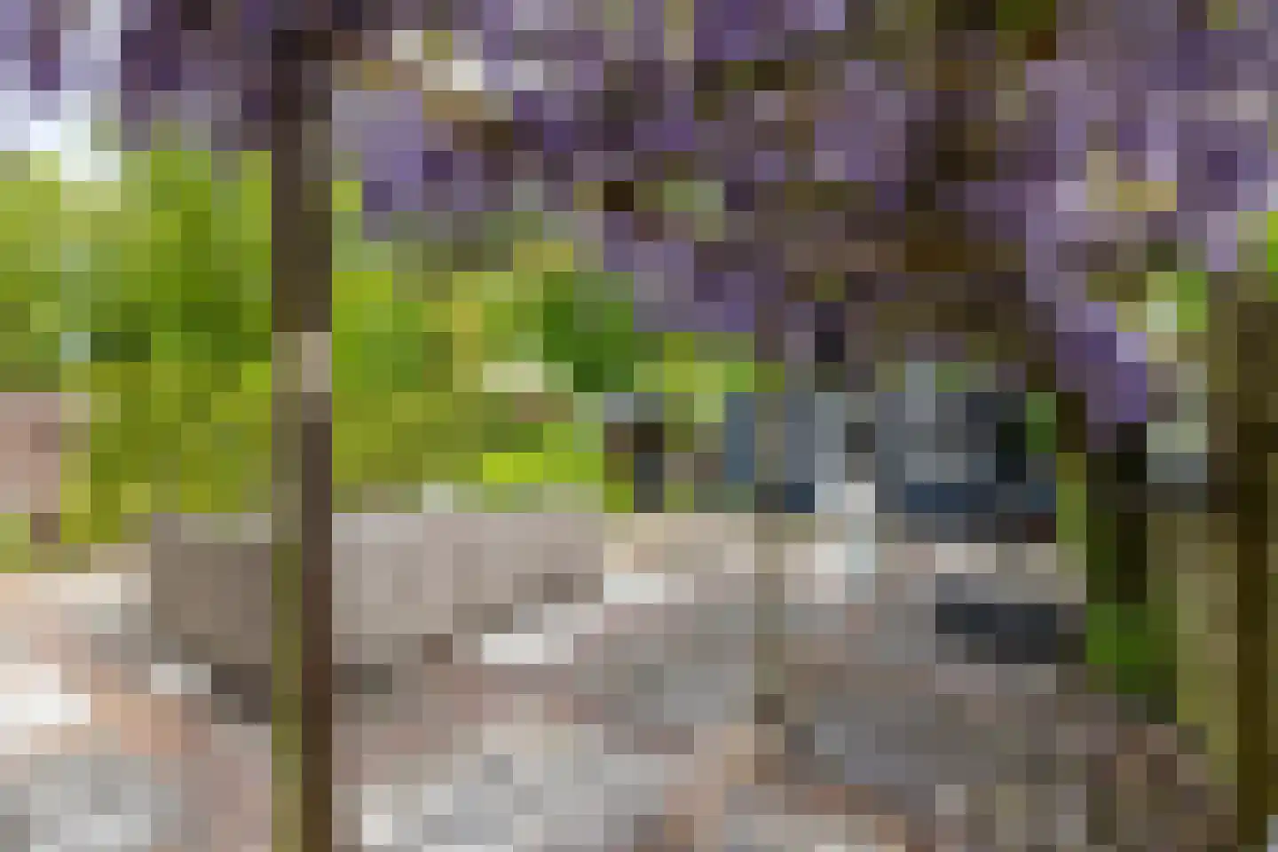 Albert Schweitzerplantsoen 28 Roden thumbnail 29
