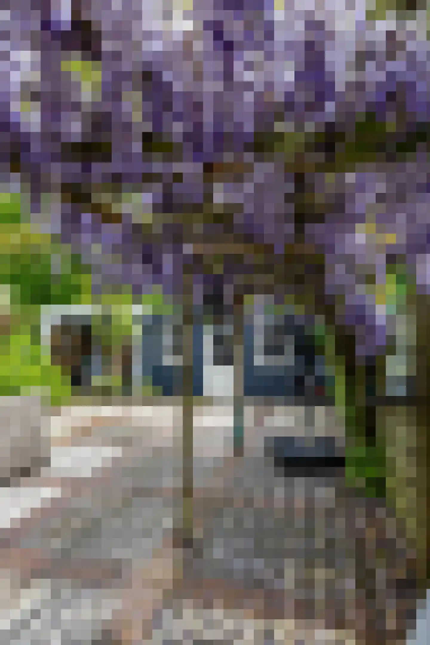 Albert Schweitzerplantsoen 28 Roden thumbnail 30
