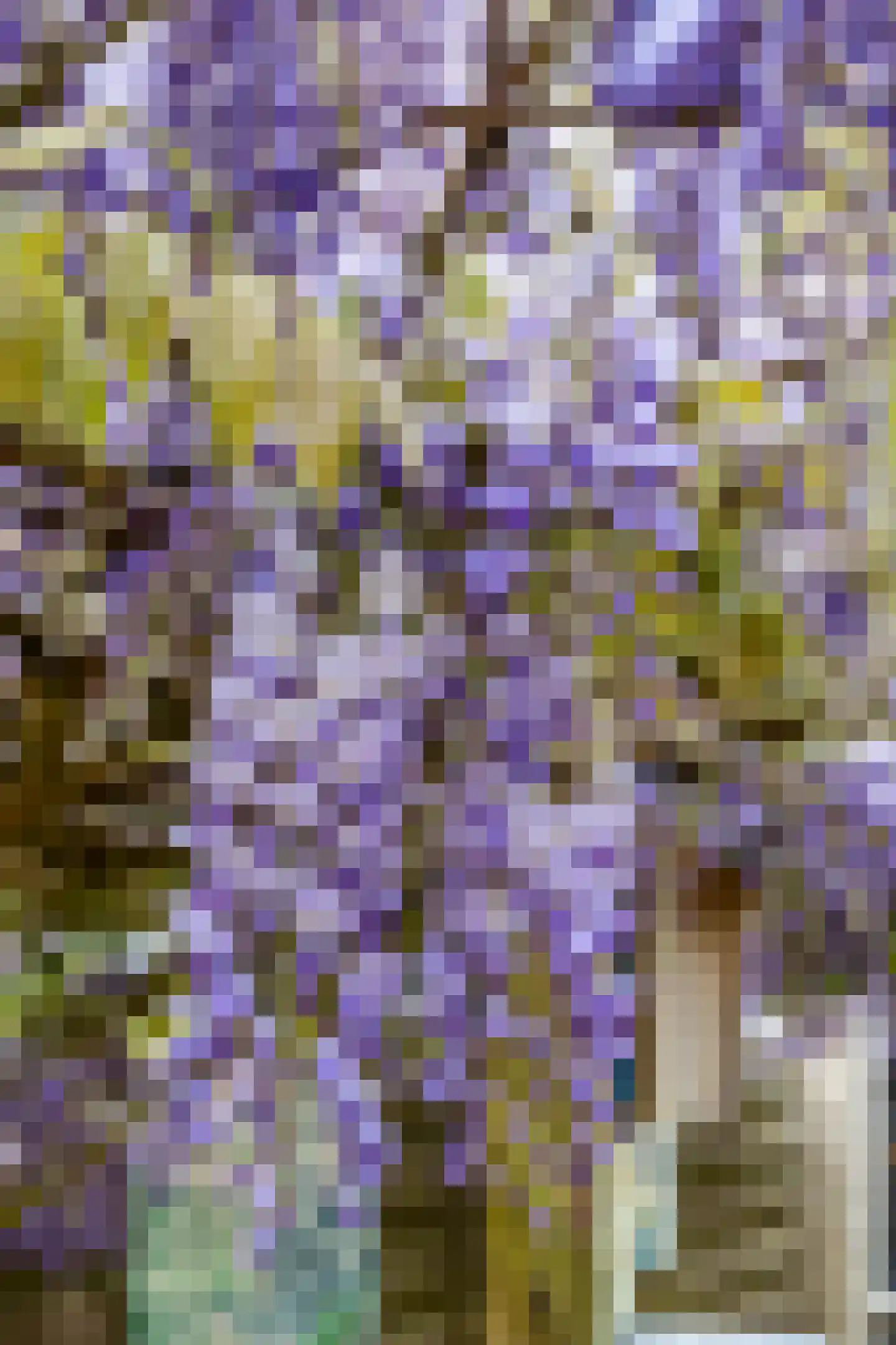 Albert Schweitzerplantsoen 28 Roden thumbnail 31