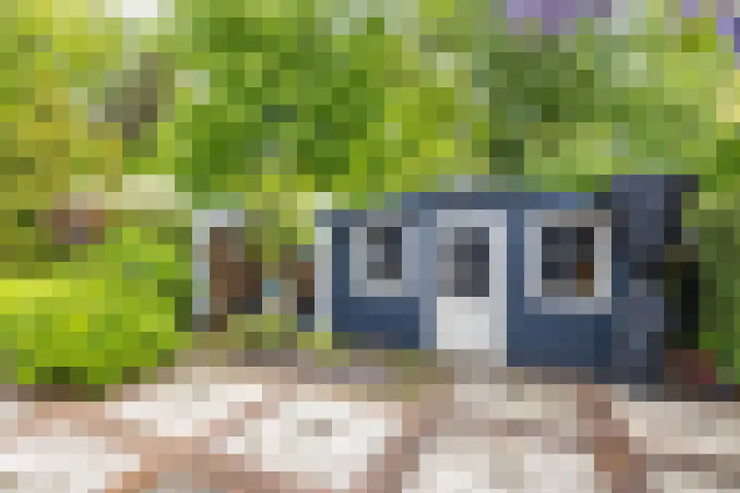 Albert Schweitzerplantsoen 28 Roden thumbnail 33