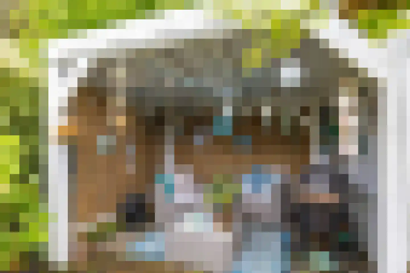 Albert Schweitzerplantsoen 28 Roden thumbnail 35