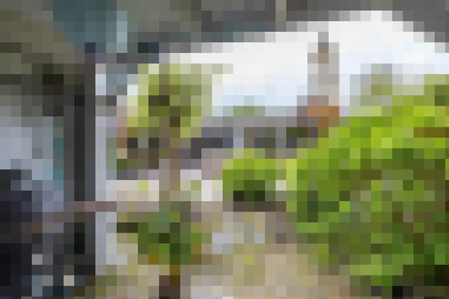 Albert Schweitzerplantsoen 28 Roden thumbnail 36