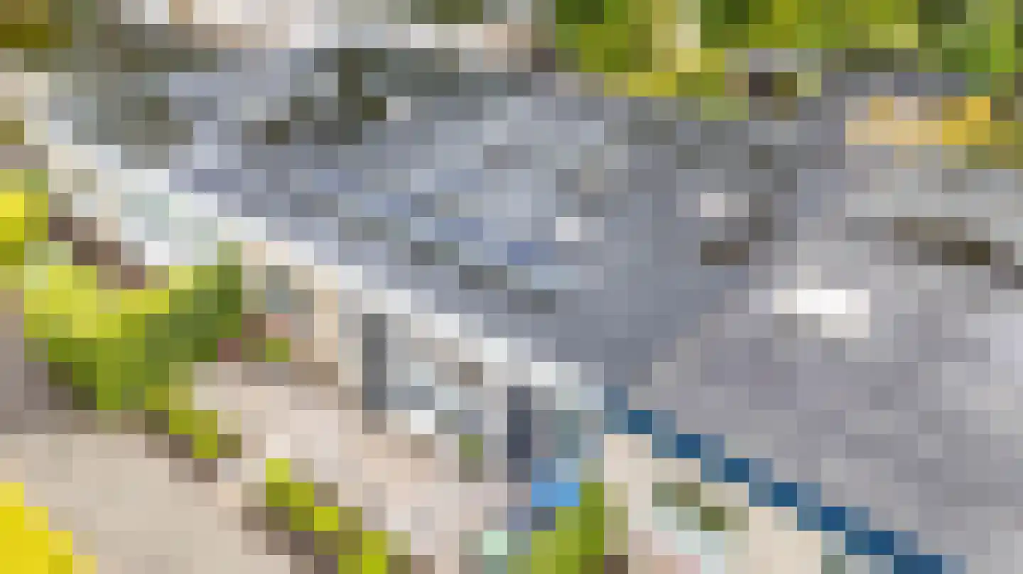 Albert Schweitzerplantsoen 28 Roden thumbnail 54