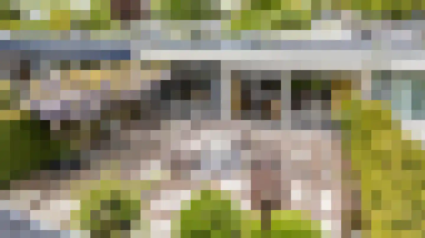 Albert Schweitzerplantsoen 28 Roden thumbnail 57