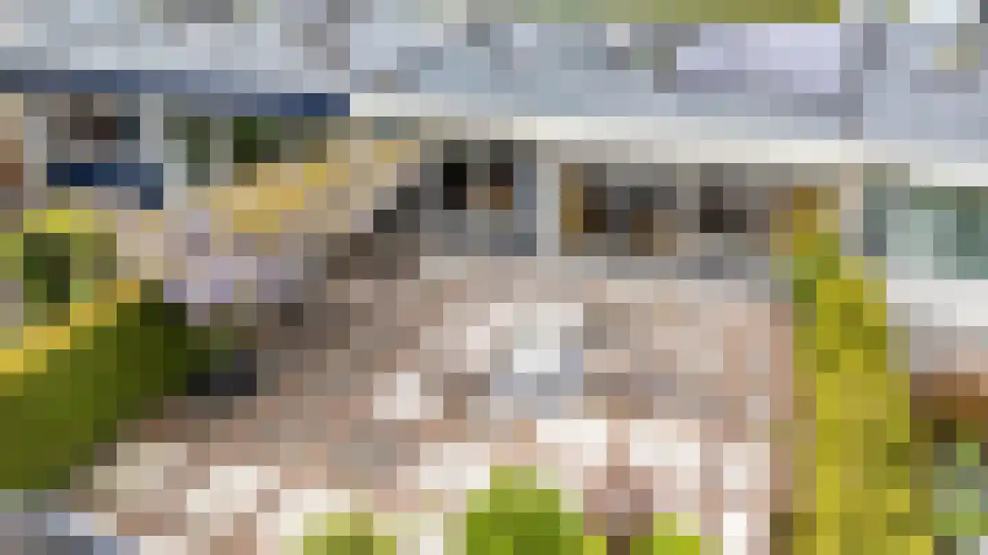 Albert Schweitzerplantsoen 28 Roden thumbnail 58