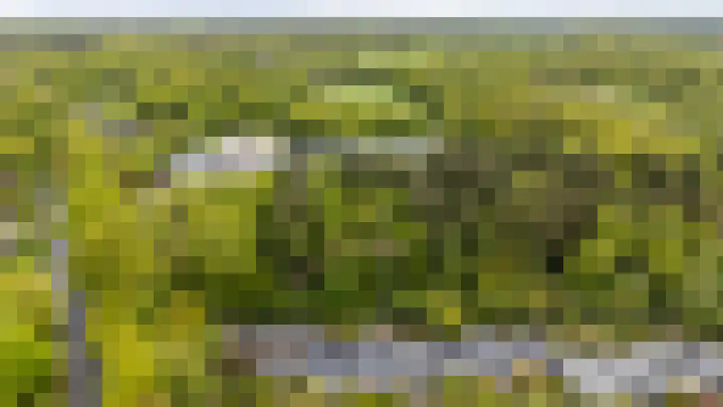 Albert Schweitzerplantsoen 28 Roden thumbnail 59