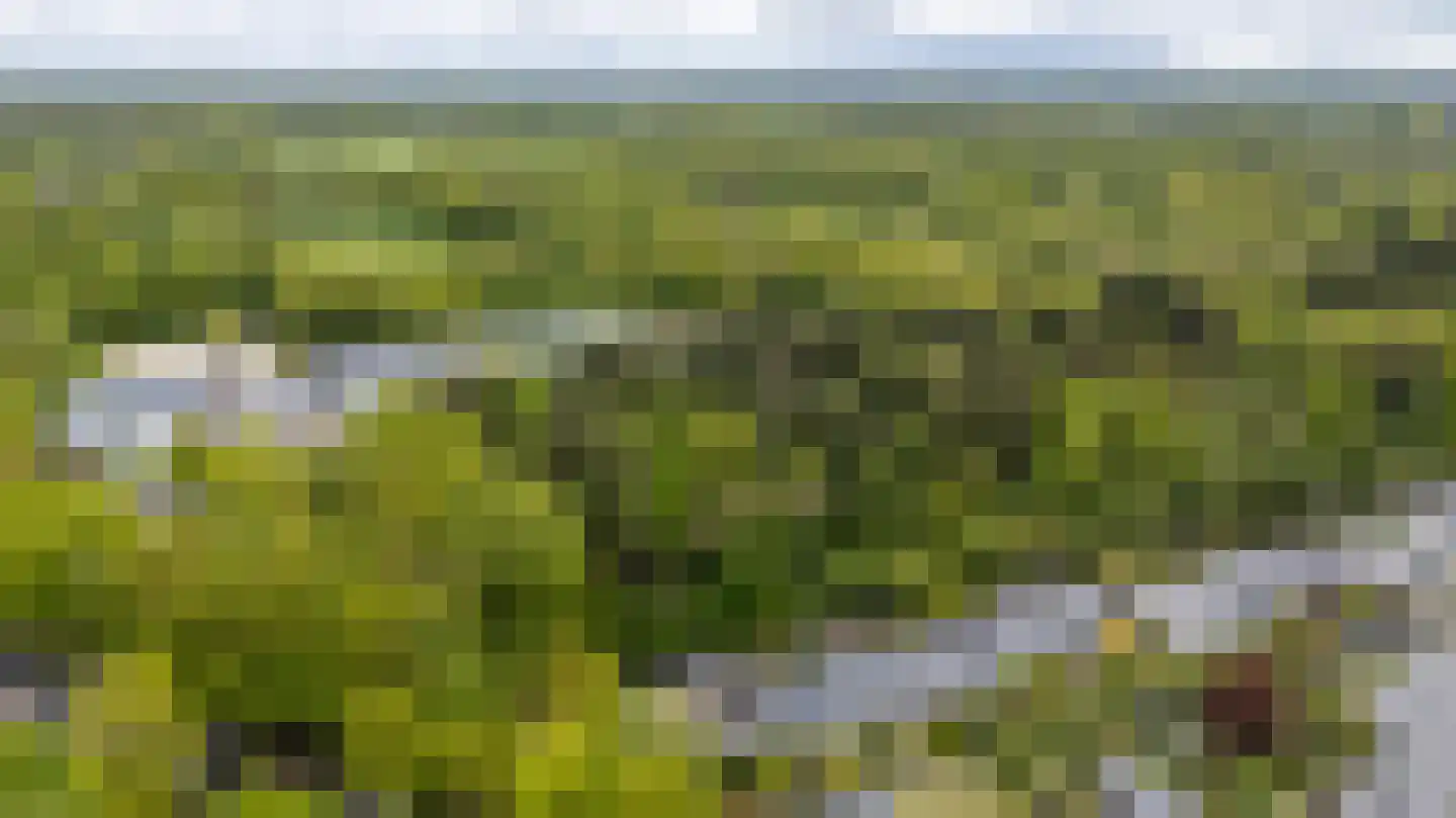 Albert Schweitzerplantsoen 28 Roden thumbnail 60