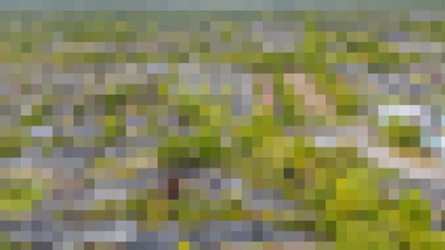 Albert Schweitzerplantsoen 28 Roden thumbnail 61
