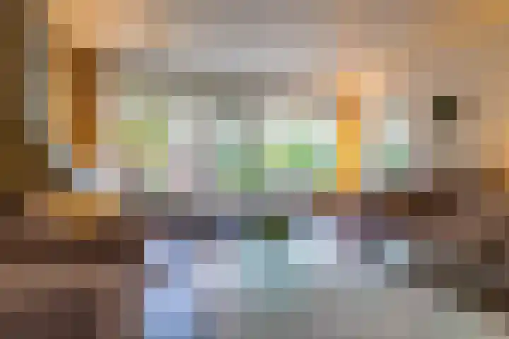 Albert Schweitzerplantsoen 38 Roden thumbnail 10
