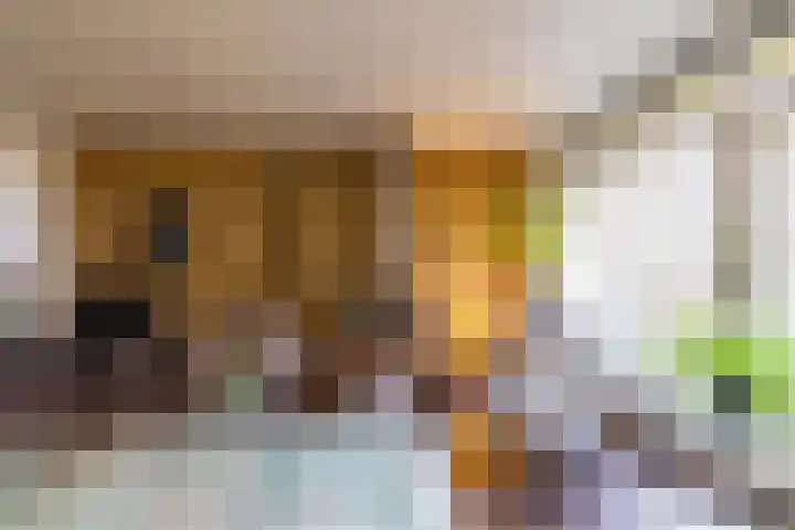 Albert Schweitzerplantsoen 38 Roden thumbnail 13