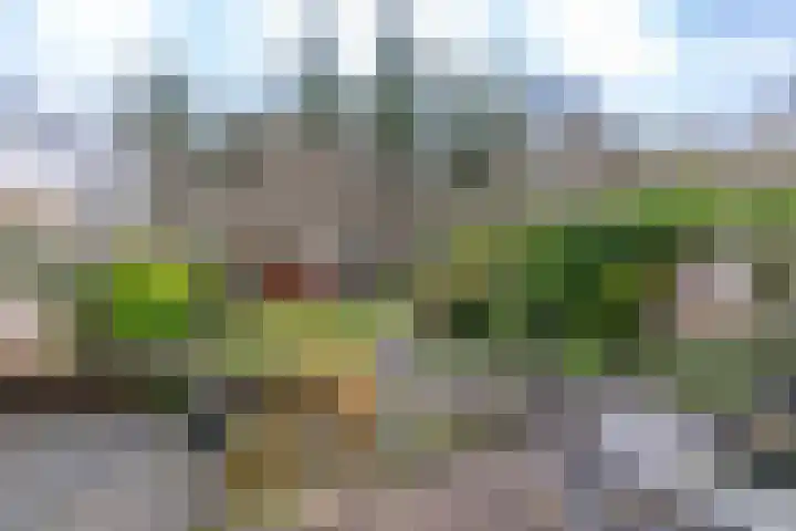 Albert Schweitzerplantsoen 38 Roden thumbnail 27