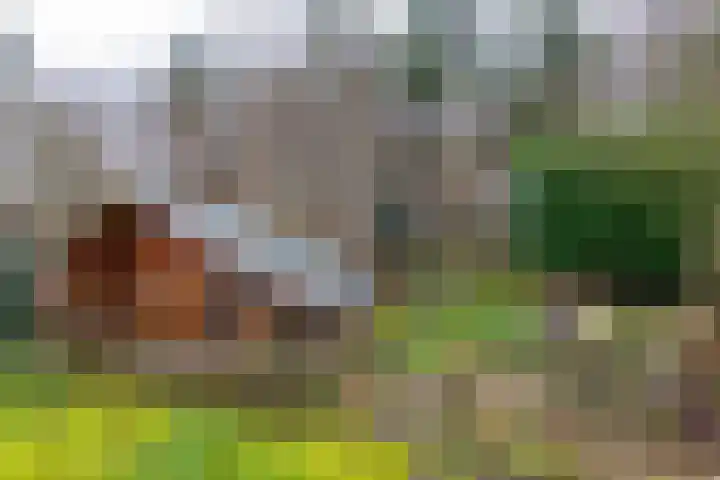 Albert Schweitzerplantsoen 38 Roden thumbnail 28