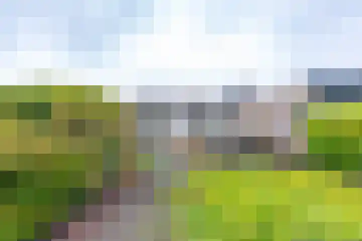Albert Schweitzerplantsoen 38 Roden thumbnail 29