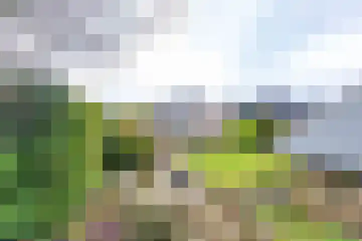Albert Schweitzerplantsoen 38 Roden thumbnail 30