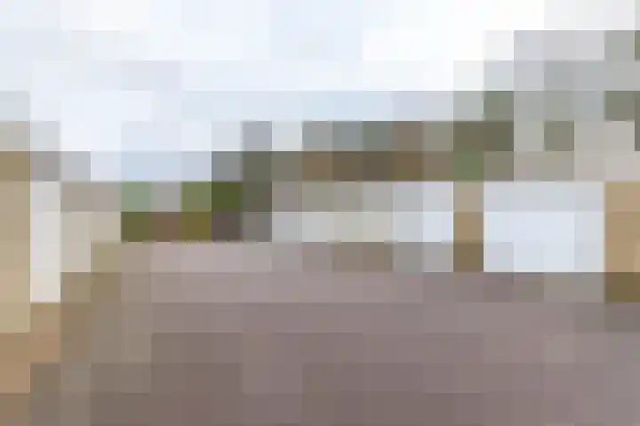 Albert Schweitzerplantsoen 38 Roden thumbnail 31