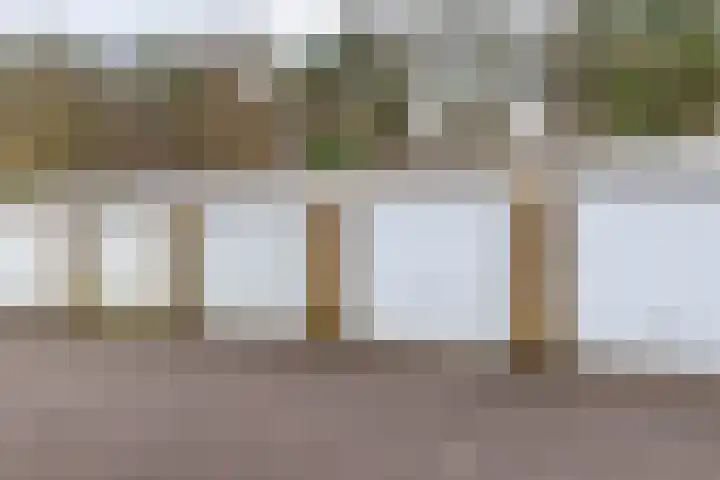 Albert Schweitzerplantsoen 38 Roden thumbnail 32