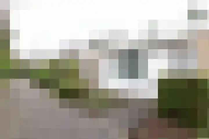 Albert Schweitzerplantsoen 38 Roden thumbnail 4