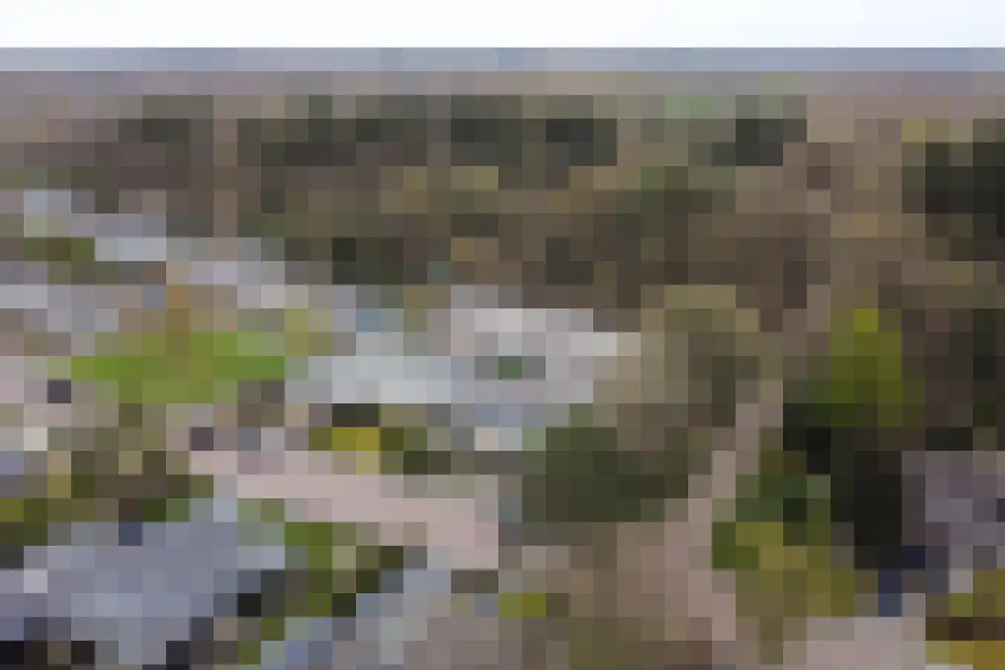 Albert Schweitzerplantsoen 58 Roden thumbnail 60