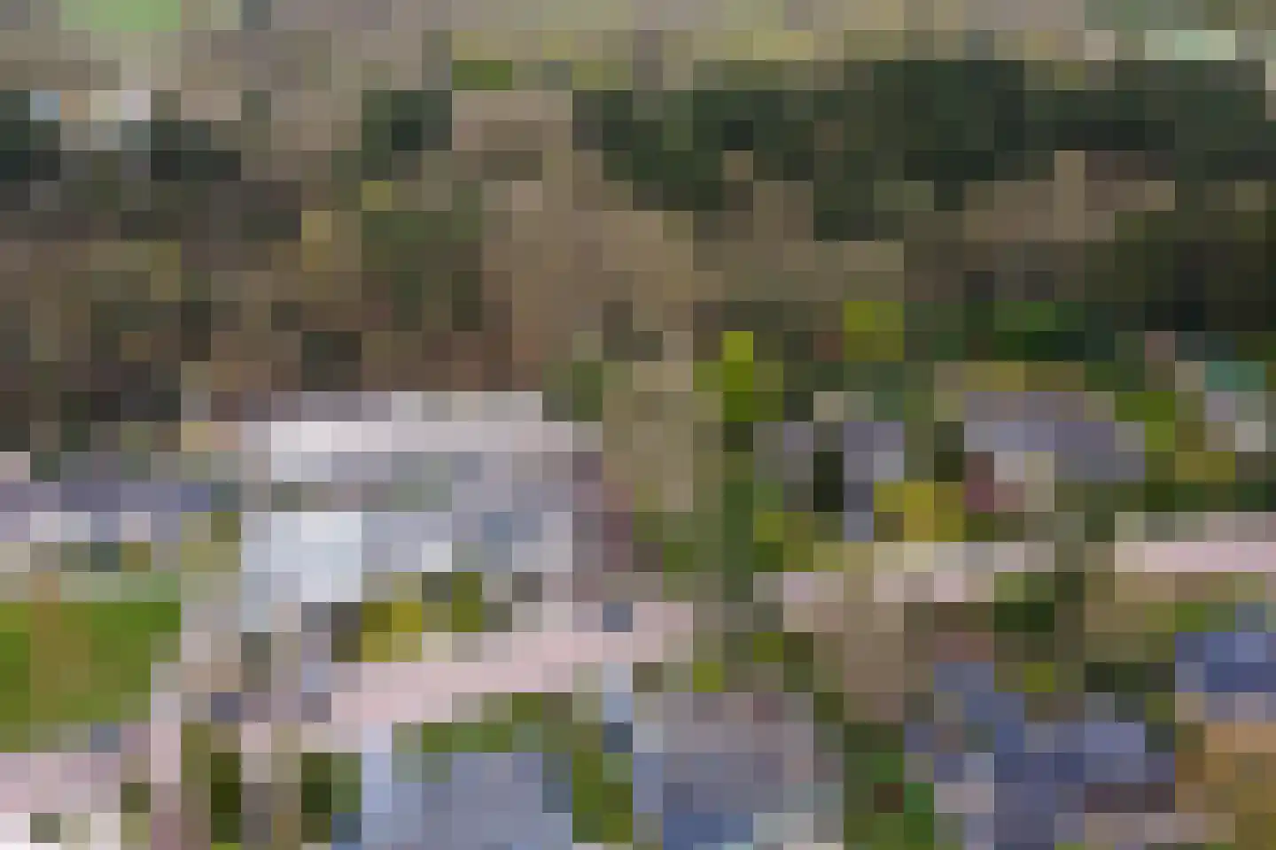 Albert Schweitzerplantsoen 58 Roden thumbnail 61