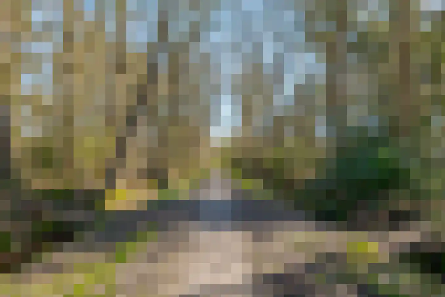 Albert Schweitzerplantsoen 58 Roden thumbnail 9
