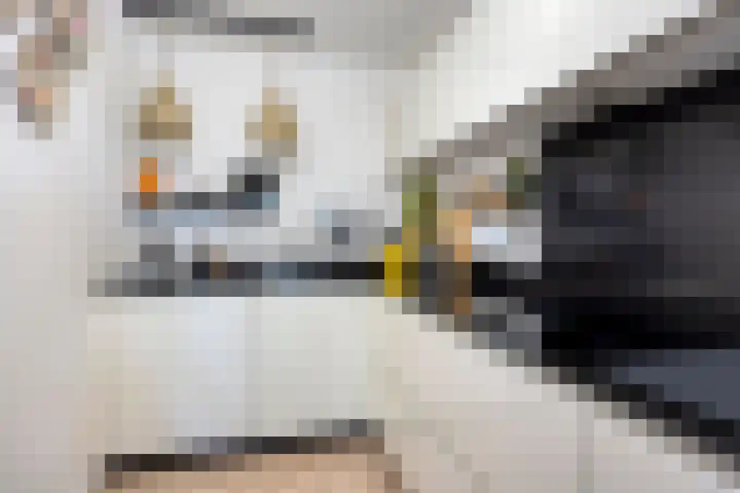Albert Schweitzersingel 115 Zoetermeer thumbnail 10
